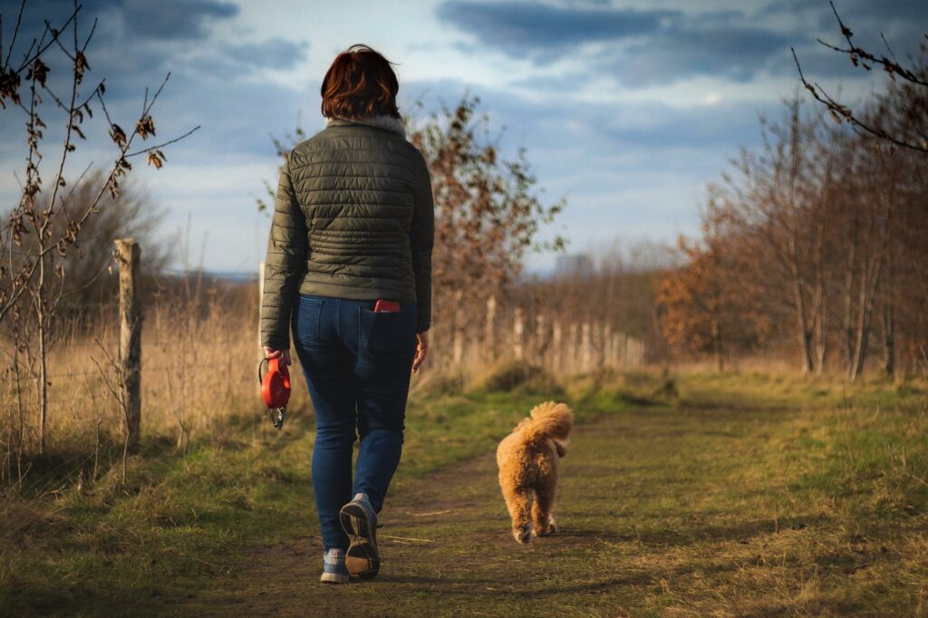 promenade-animaux